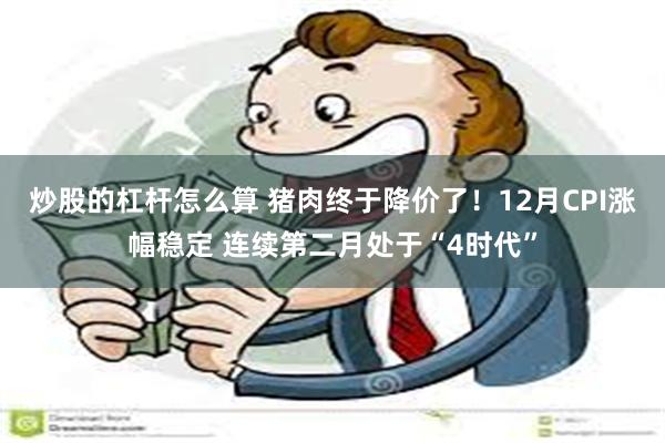 炒股的杠杆怎么算 猪肉终于降价了！12月CPI涨幅稳定 连续第二月处于“4时代”