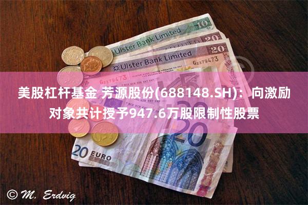 美股杠杆基金 芳源股份(688148.SH)：向激励对象共计授予947.6万股限制性股票