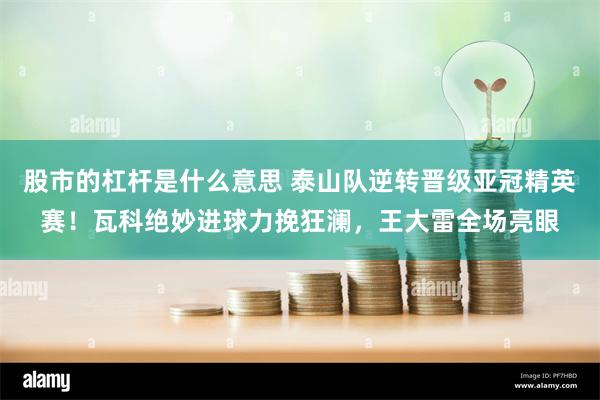 股市的杠杆是什么意思 泰山队逆转晋级亚冠精英赛！瓦科绝妙进球力挽狂澜，王大雷全场亮眼