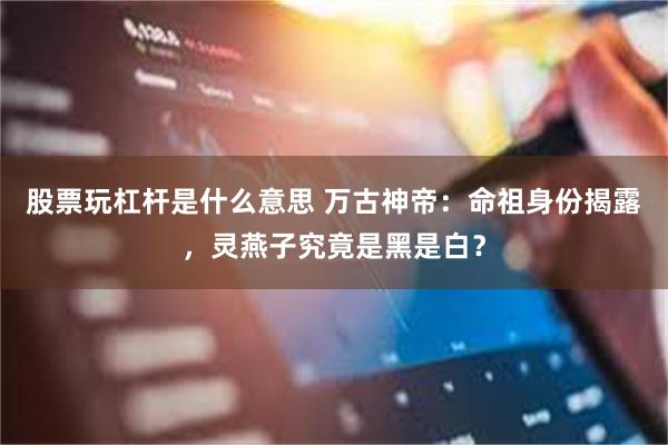 股票玩杠杆是什么意思 万古神帝：命祖身份揭露，灵燕子究竟是黑是白？