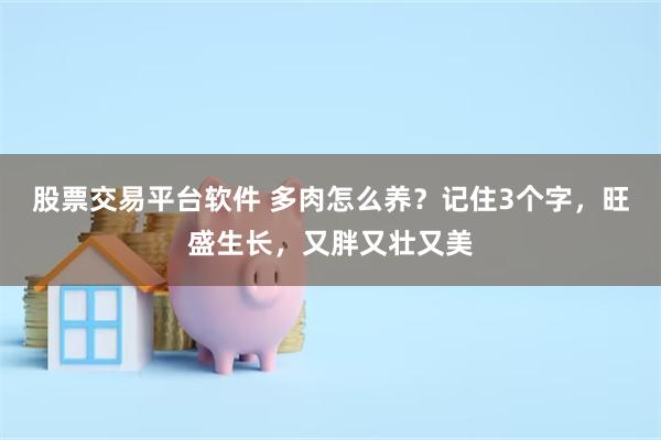 股票交易平台软件 多肉怎么养？记住3个字，旺盛生长，又胖又壮又美