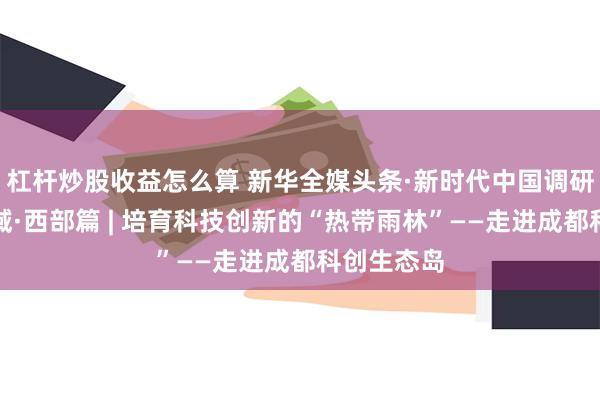 杠杆炒股收益怎么算 新华全媒头条·新时代中国调研行之看区域·西部篇 | 培育科技创新的“热带雨林”——走进成都科创生态岛