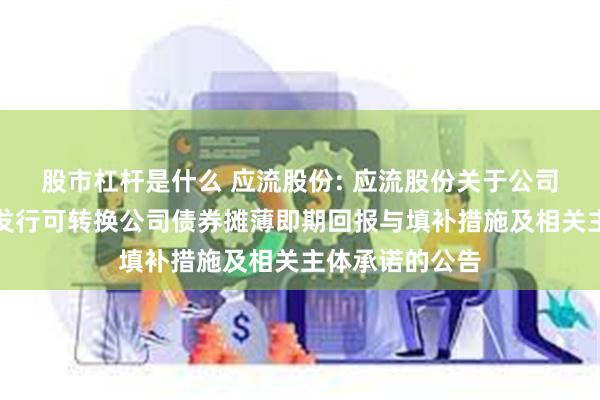 股市杠杆是什么 应流股份: 应流股份关于公司向不特定对象发行可转换公司债券摊薄即期回报与填补措施及相关主体承诺的公告