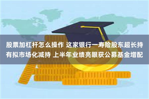 股票加杠杆怎么操作 这家银行一寿险股东超长持有拟市场化减持 上半年业绩亮眼获公募基金增配