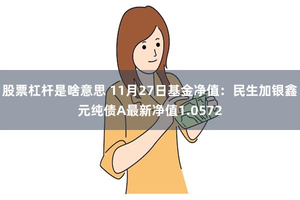 股票杠杆是啥意思 11月27日基金净值：民生加银鑫元纯债A最新净值1.0572