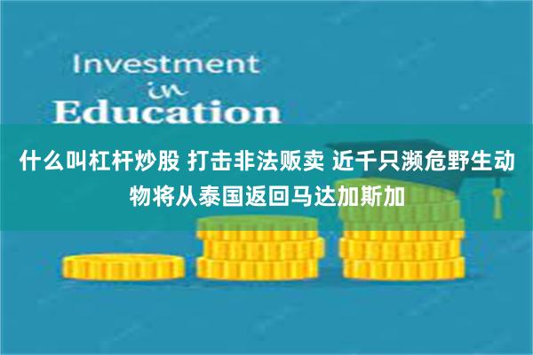 什么叫杠杆炒股 打击非法贩卖 近千只濒危野生动物将从泰国返回马达加斯加