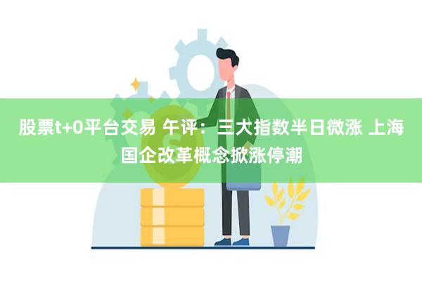 股票t+0平台交易 午评：三大指数半日微涨 上海国企改革概念掀涨停潮